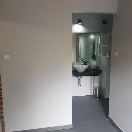 Klimacik 公寓 卡尔帕奇